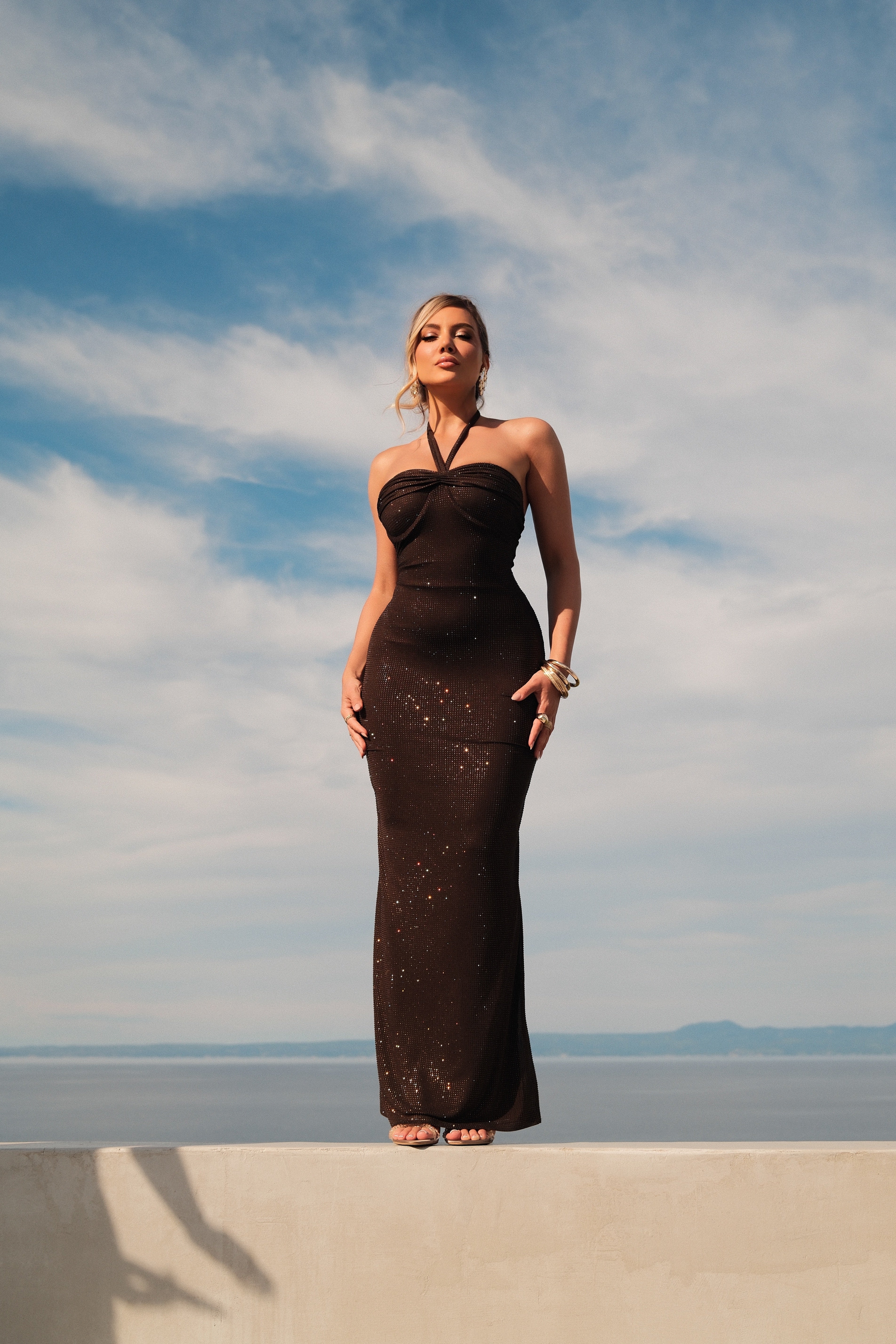 Anesia Brown Dress