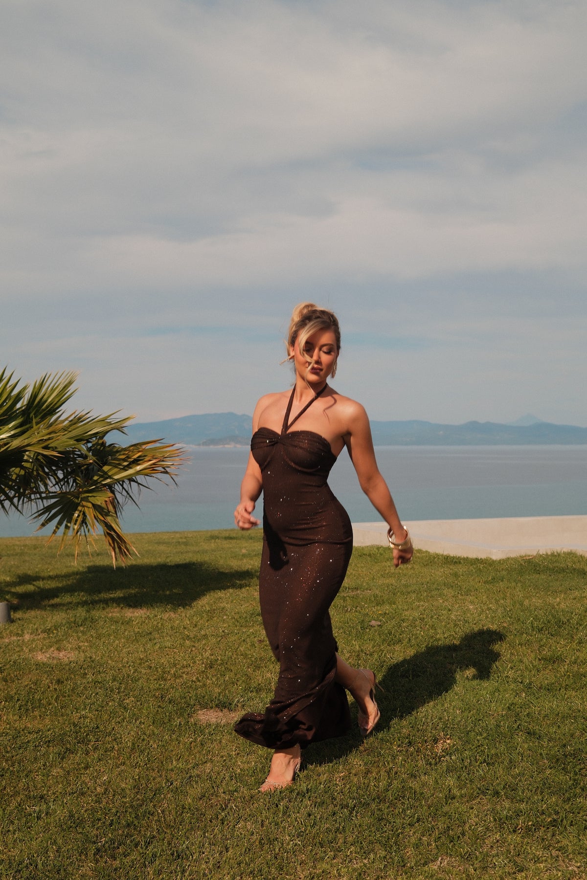 Anesia Brown Dress