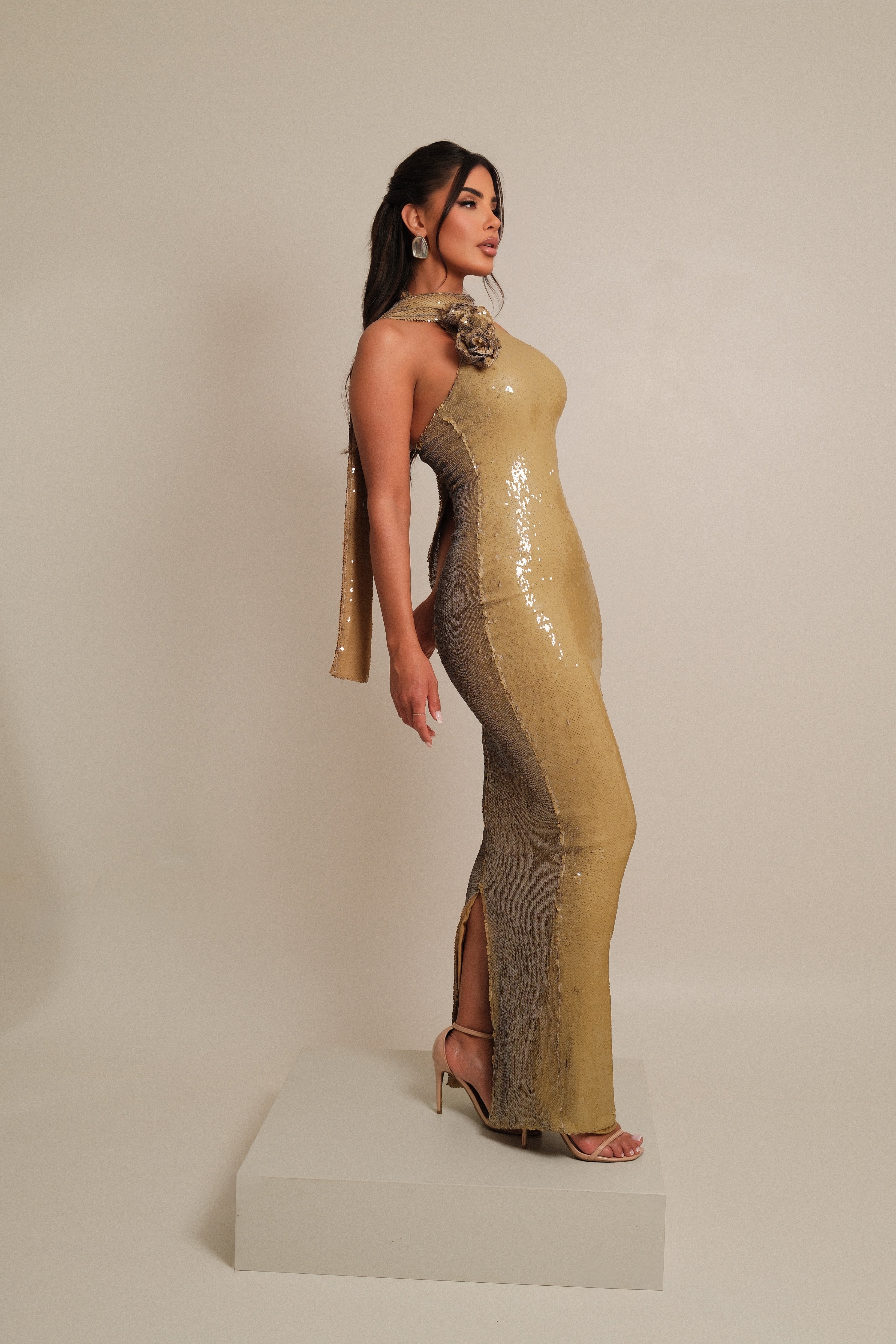 Lenora Moss Dress