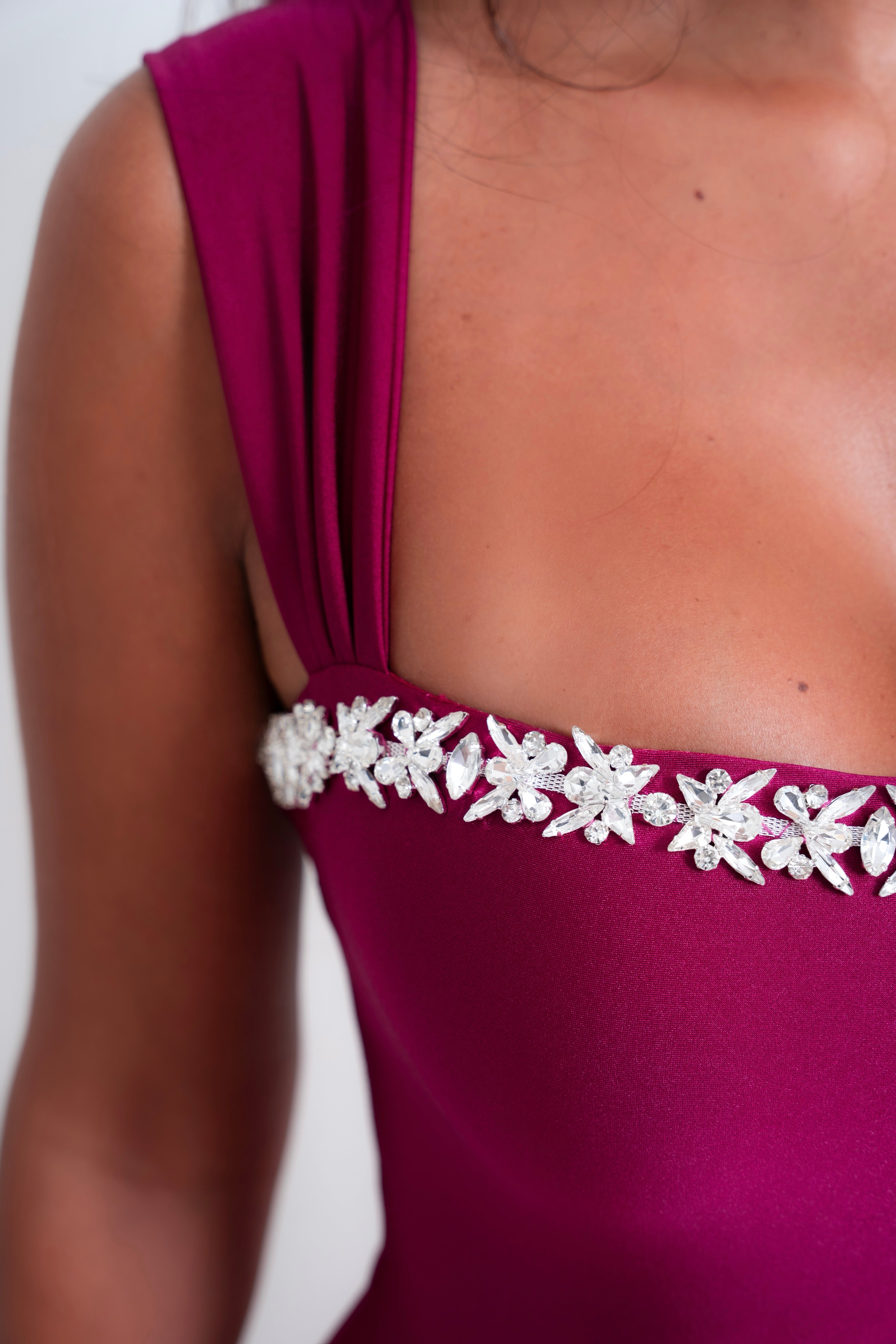 Monila Wine Red Dress