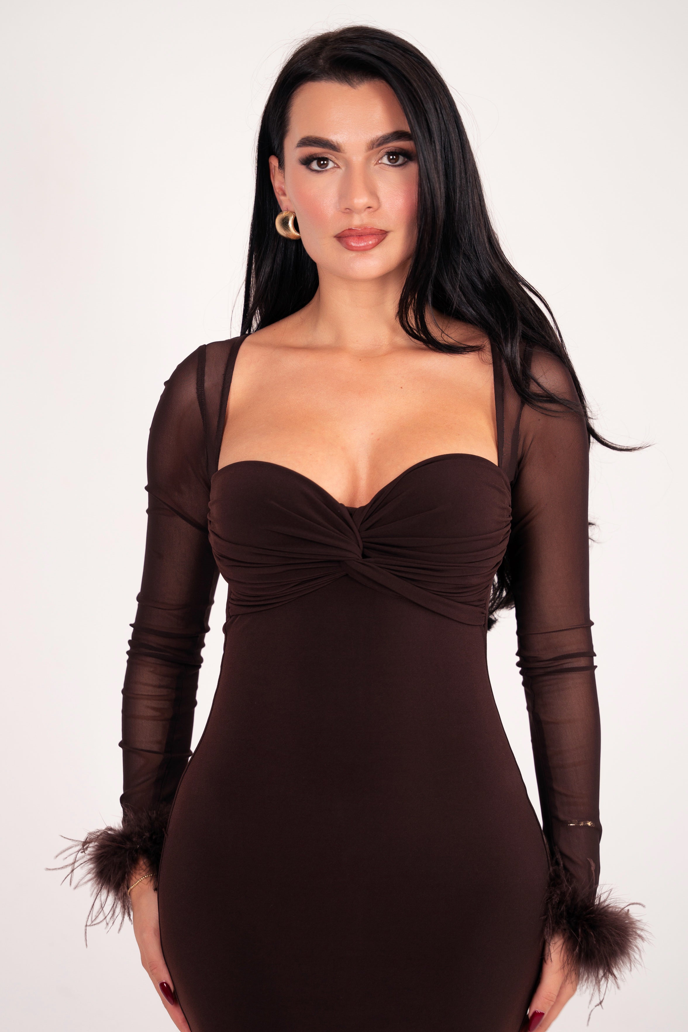 Chic brown evening dress featuring mesh sleeves and feather trim accents.