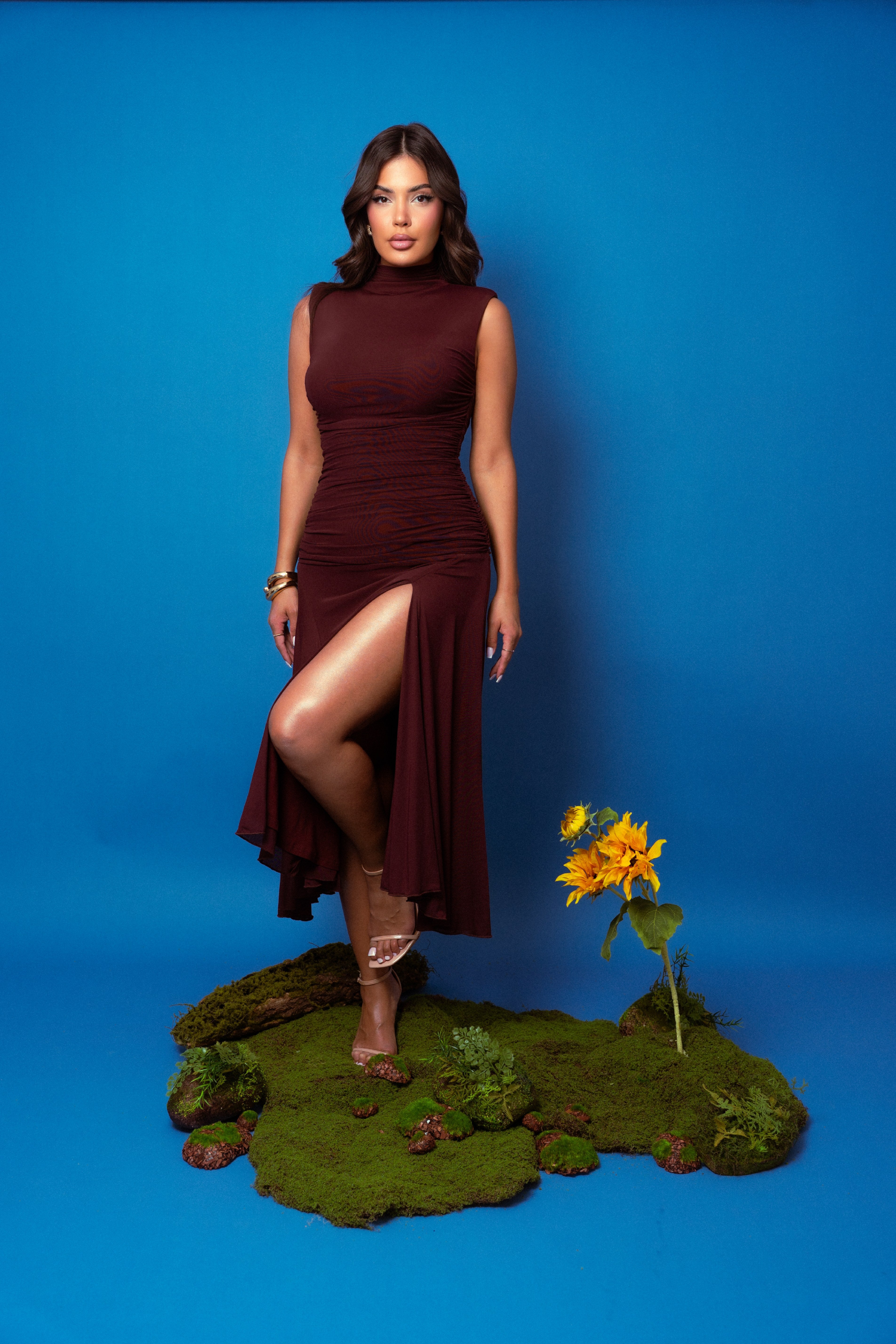 Alondra Brown Dress
